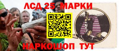 гидра Моздок