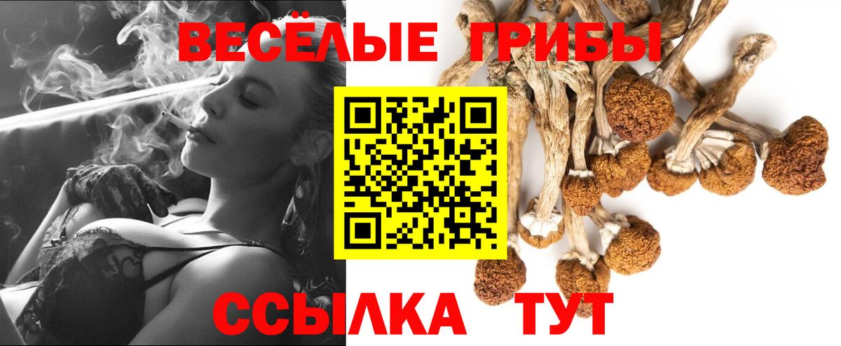 Псилоцибиновые грибы GOLDEN TEACHER  где продают наркотики  Орёл  Вход с VPN 